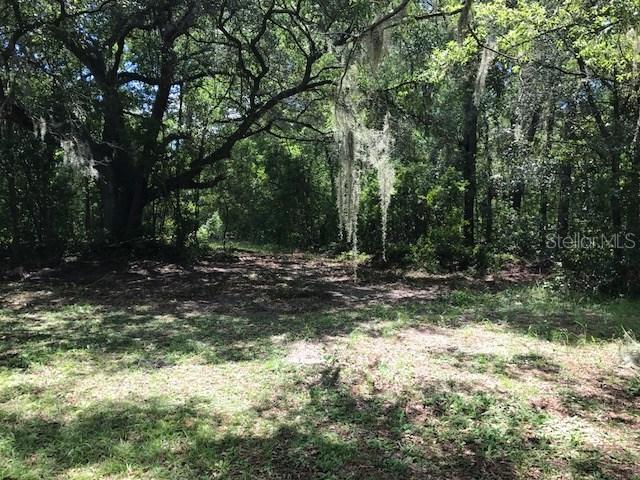 State Road 46, Sorrento, FL 32776