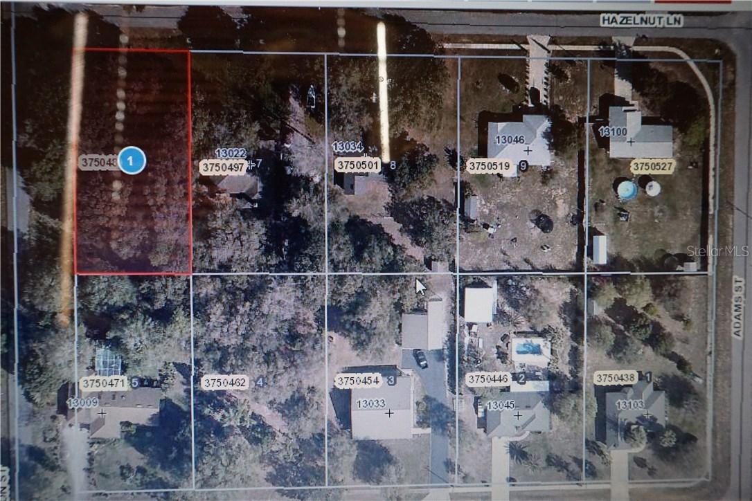 Hazelnut Ln., Astatula, FL 34705