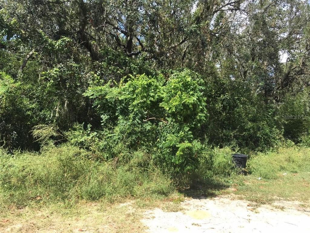 Crawford St., Groveland, FL 34736