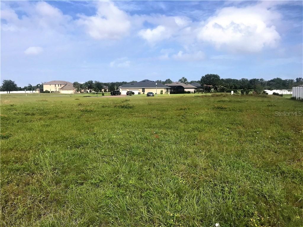 5800 Tangerine Reserve Ct., Mount Dora, FL 32757