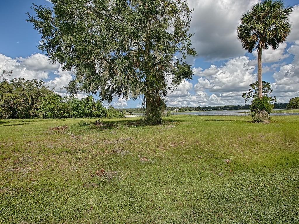 441 Two Lakes Ln., Eustis, FL 32726