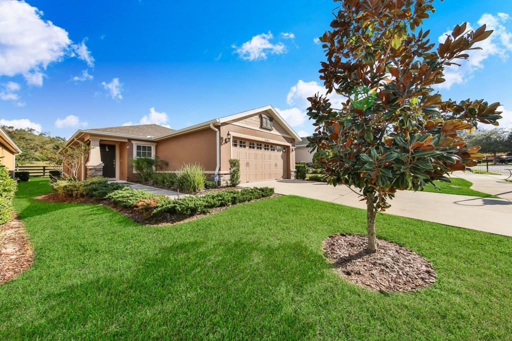 30340 Lipizzan Ter., Mount Dora, FL 32757