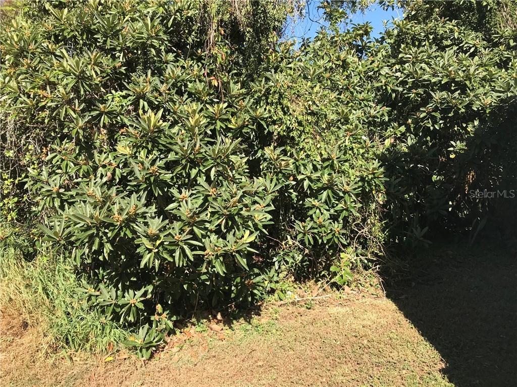 Arnold St., Groveland, FL 34736