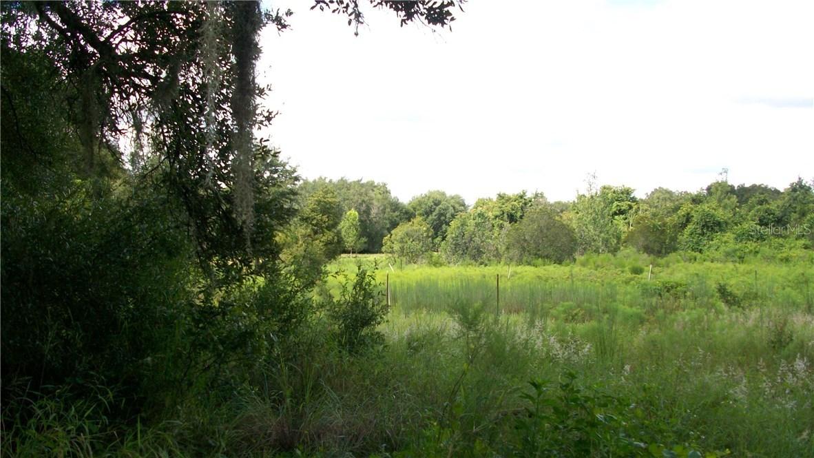 N Austin Merritt Rd., Groveland, FL 34736