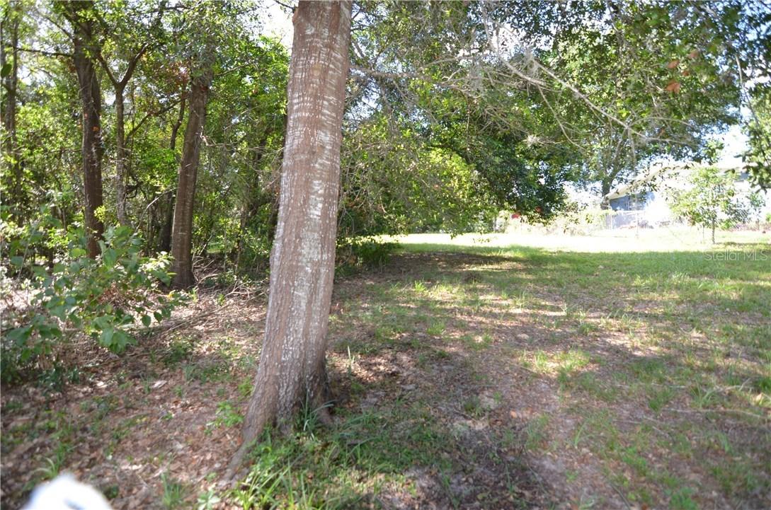 Crescent Ln., Clermont, FL 34711