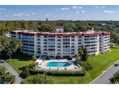 601 N Mcdonald St. #103, Mount Dora, FL 32757