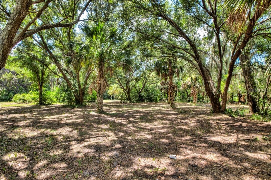 Lakeshore Pointe Blvd., Mt. Dora, FL 32757