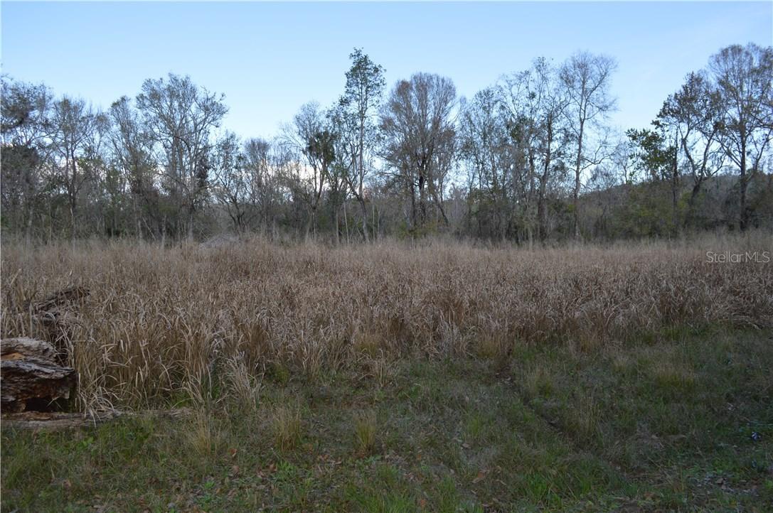 Trousdale St., Clermont, FL 34711