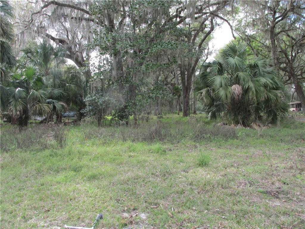 [Address Hidden by Seller], Lake Panasoffkee, FL 33538