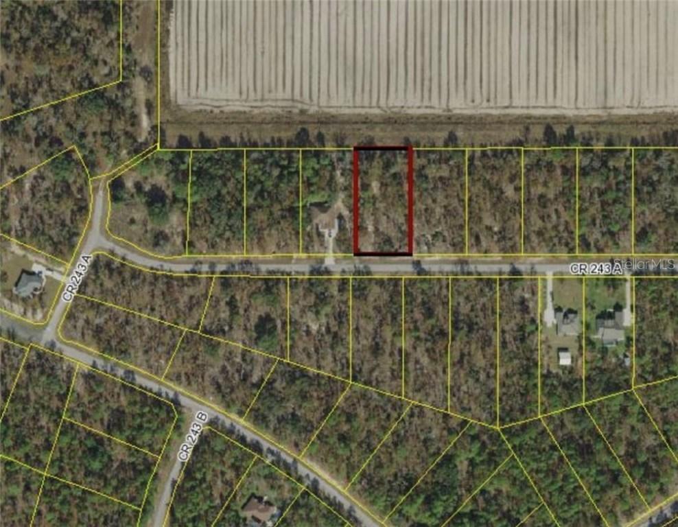 Cr 243a, Wildwood, FL 34785