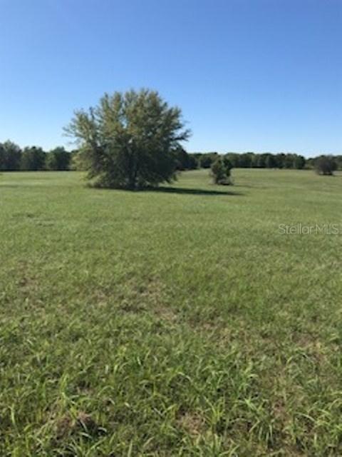 Moon River Drive, Groveland, FL 34748