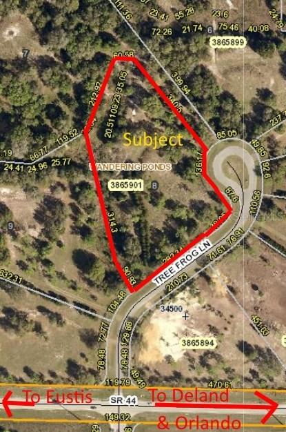 Tree Frog Ln., Eustis, FL 32736
