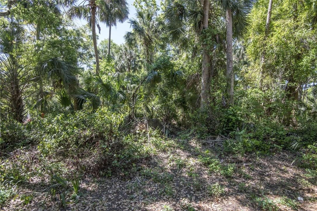 Tammi Dr., Tavares, FL 32778