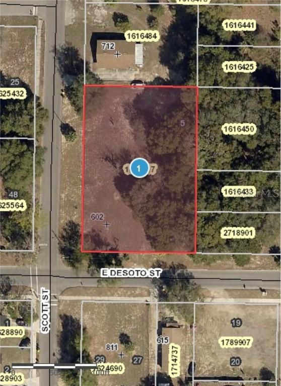 602 E Desoto St., Clermont, FL 34711