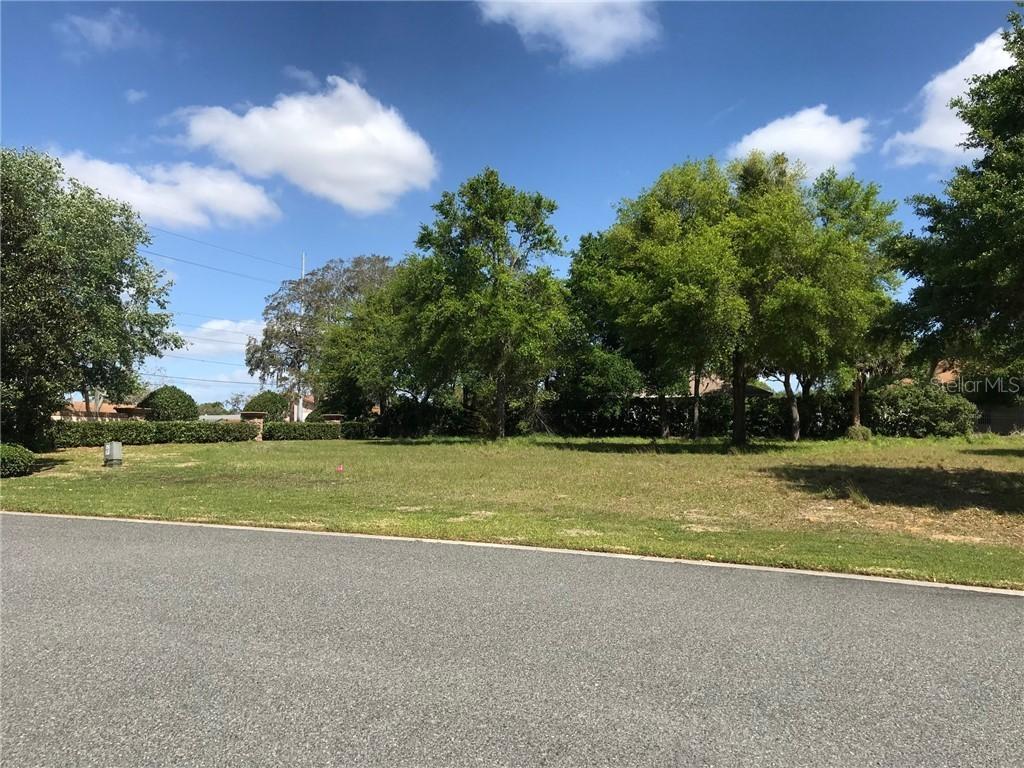 213 Two Lakes Ln., Eustis, FL 32726