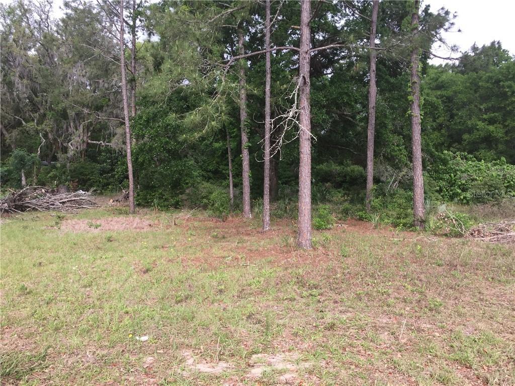 31329 Church St, Sorrento, FL 32776