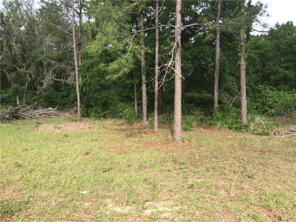 Central Ave., Sorrento, FL 32776
