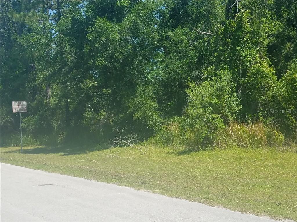 Sunrise Blvd., Mount Dora, FL 32757