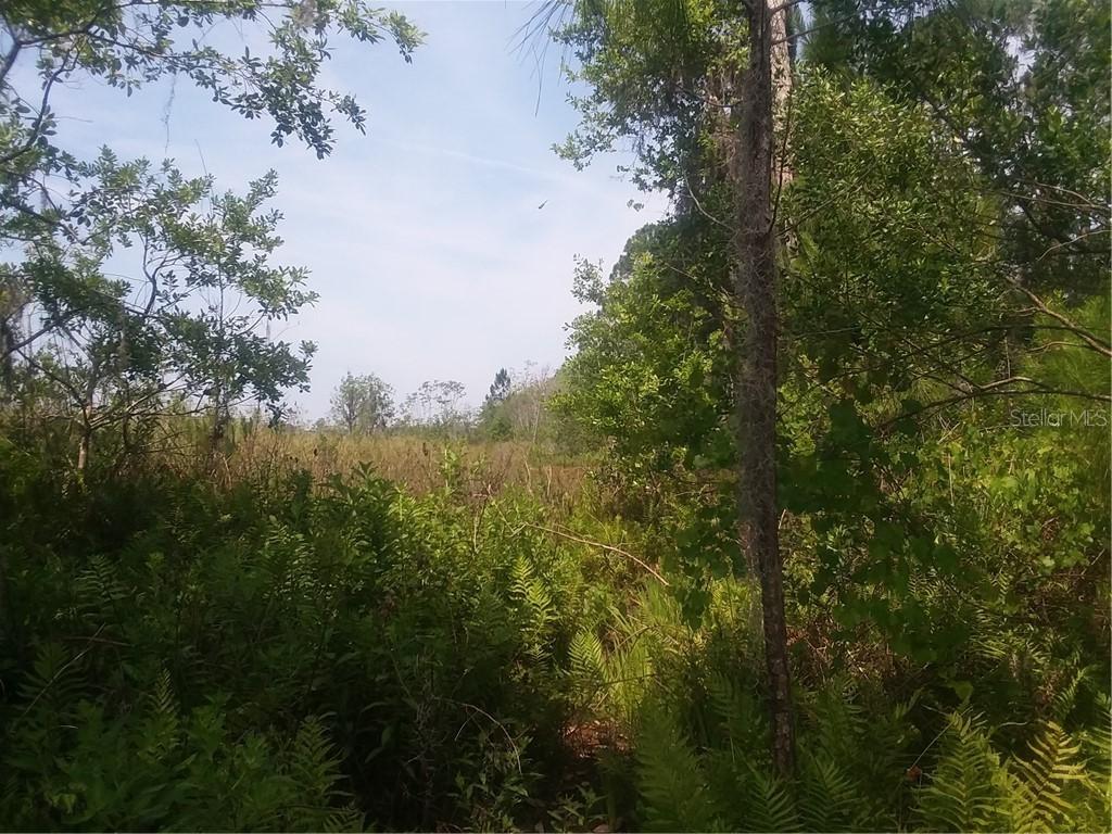 South Phillips Road, Clermont, FL 34711