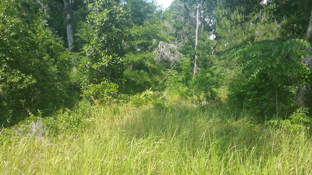 64 Ct, Summerfield, FL 34491