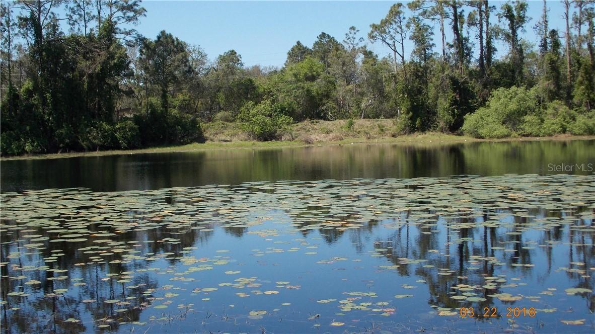 160 Lake Crescent Dr., Chuluota, FL 32766