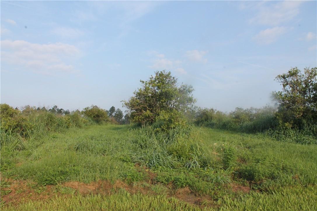 Postal Colony Rd., Clermont, FL 34714