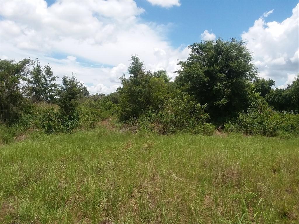 Lake Nellie (off) Rd., Clermont, FL 34711