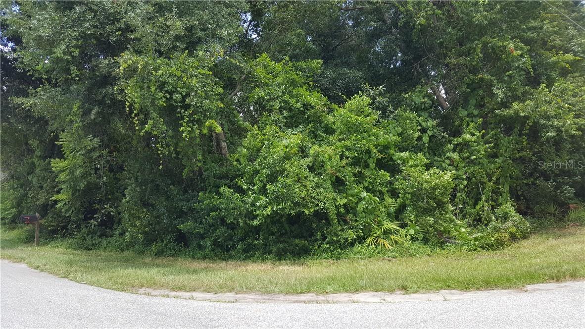 Magnolia Ave., Sorrento, FL 32776