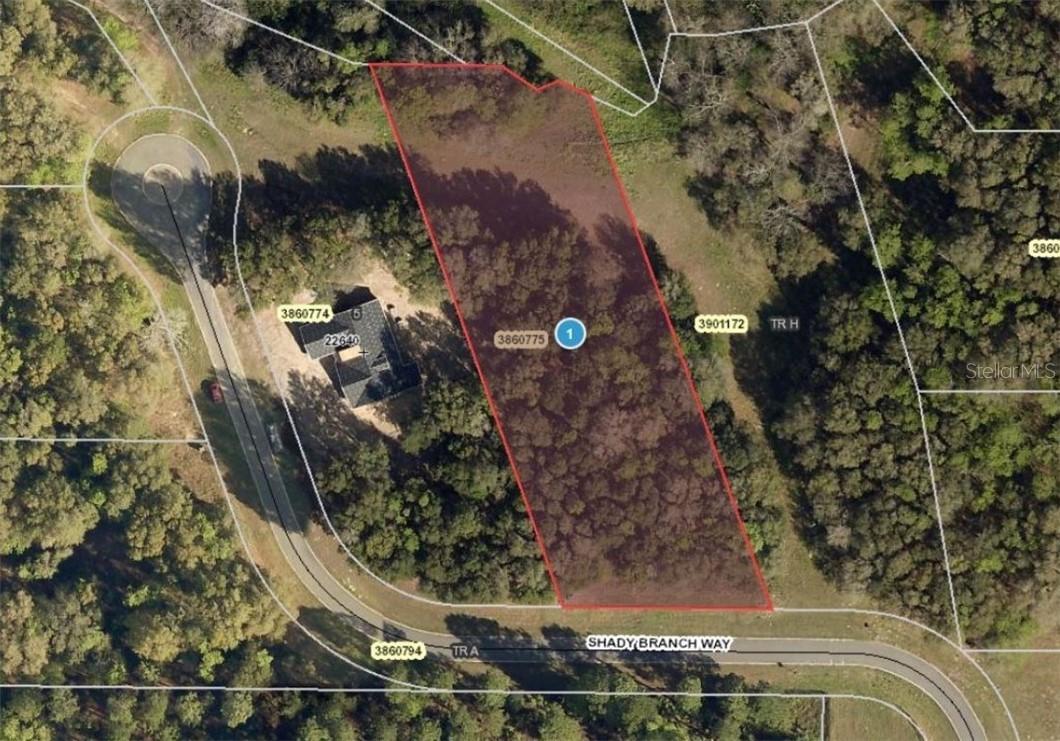 Shady Branch Way, Eustis, FL 32736