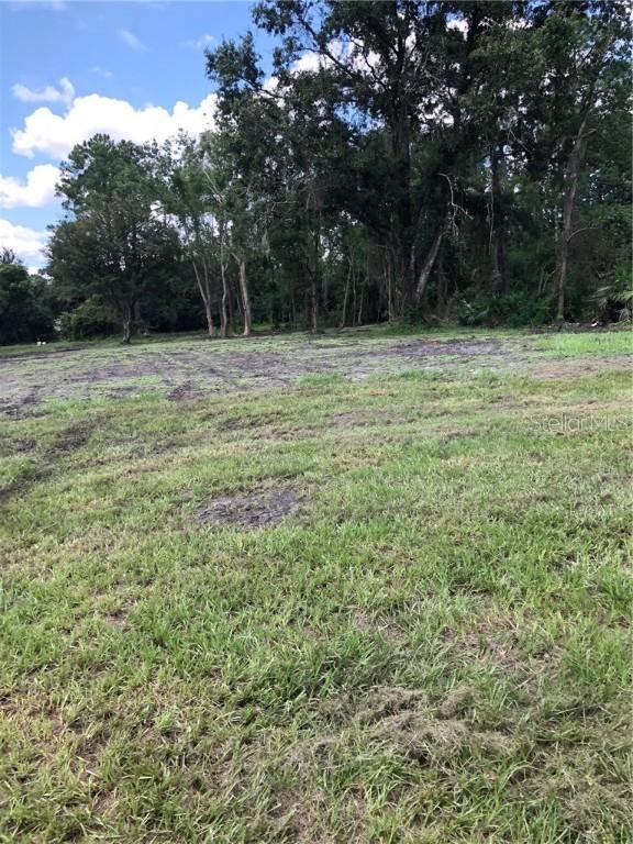 32314 Holopaw Tr., Sorrento, FL 32776