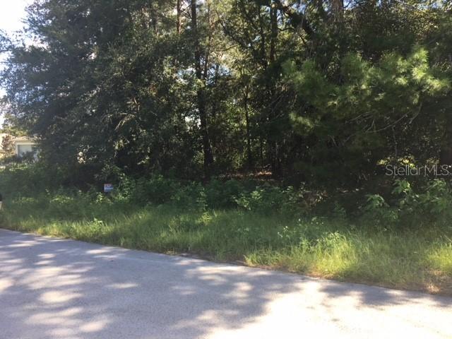 10 Hemlock Loop Pass, Ocala, FL 34472