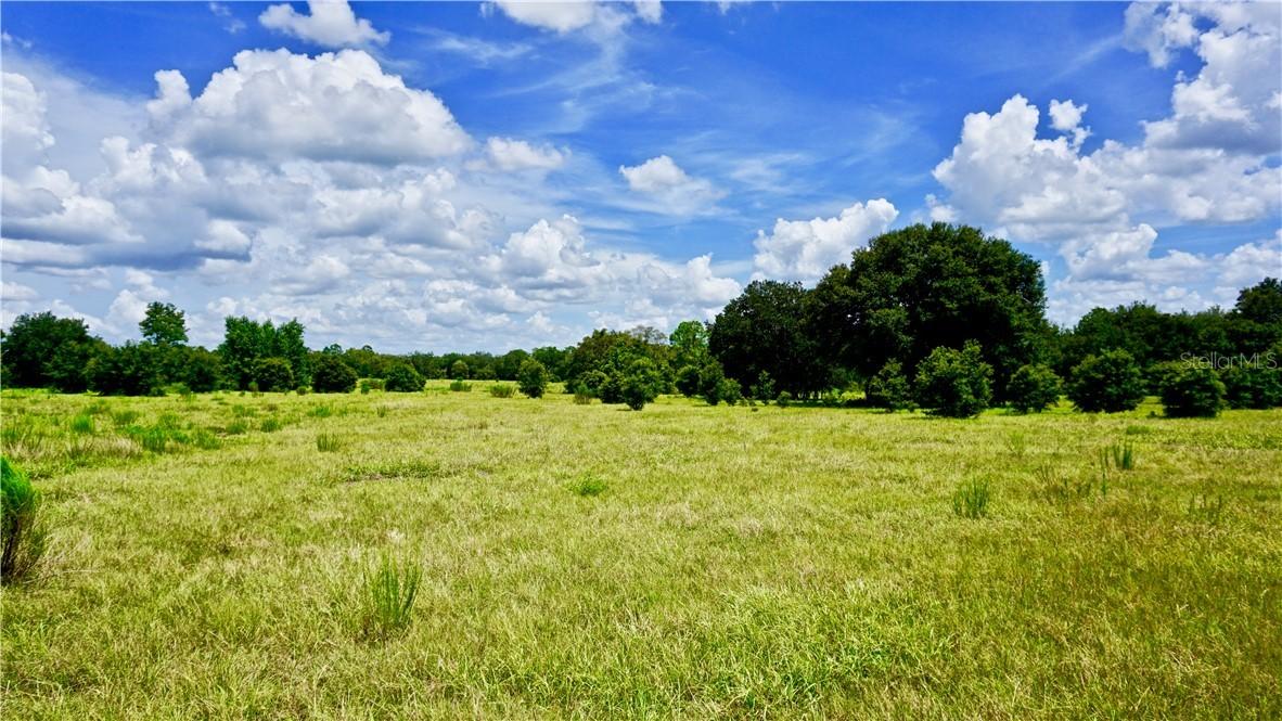 Mattioda Rd., Groveland, FL 34736