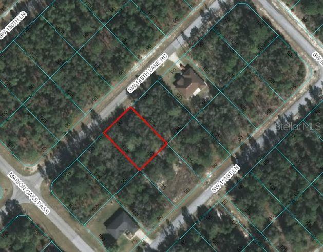 SW 149th Lane Rd., Ocala, FL 34473