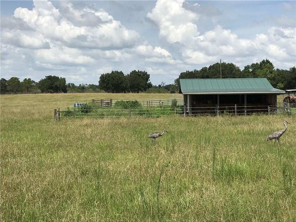 Knight Lake Rd., Groveland, FL 34736