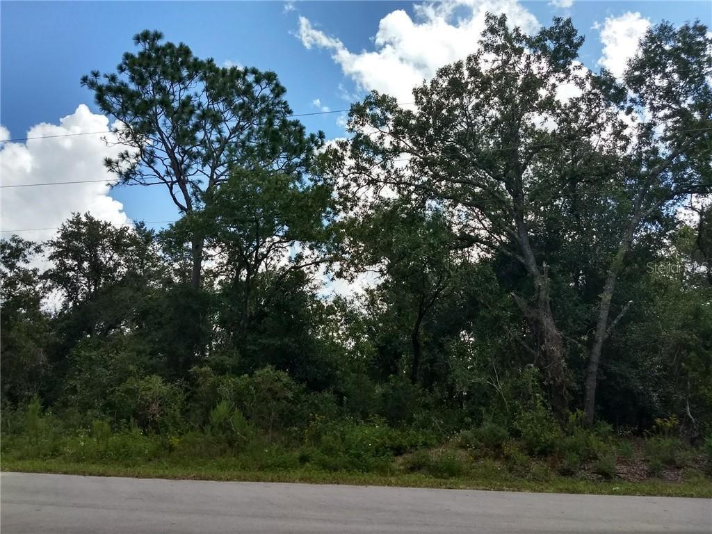 SE 97th Ave., Summerfield, FL 34491