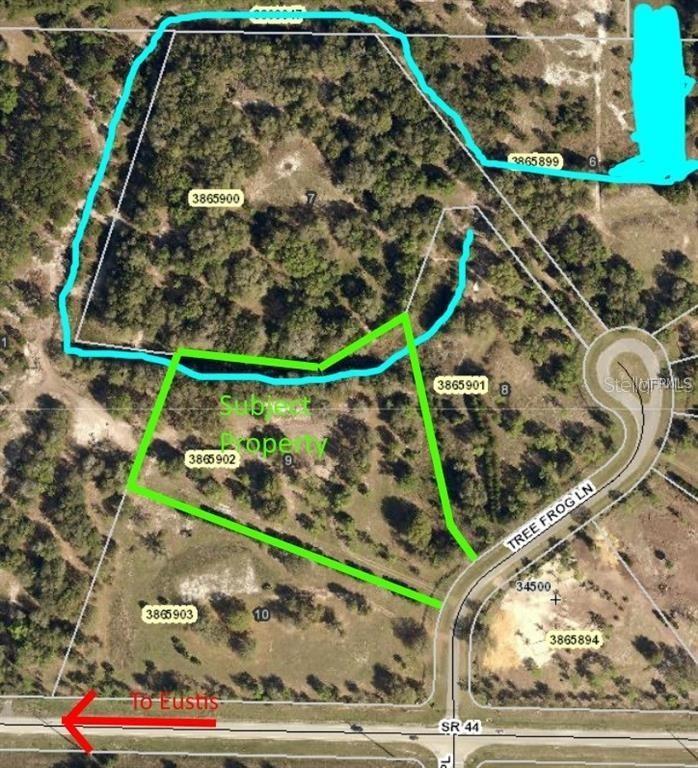 Tree Frog Ln., Eustis, FL 32736