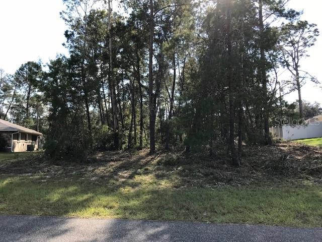 SW 169th Pl., Ocala, FL 34473