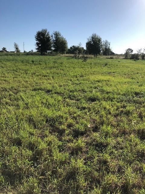25428 Adams St., Astatula, FL 34705