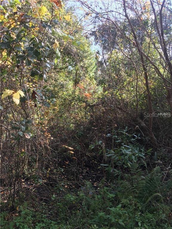207 Mills St. ##9692, Crescent City, FL 32112