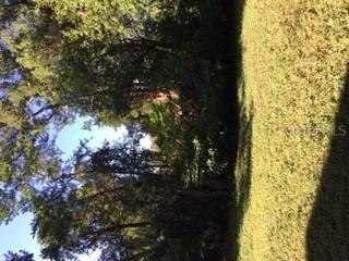 Cy Ave., Apopka, FL 32703