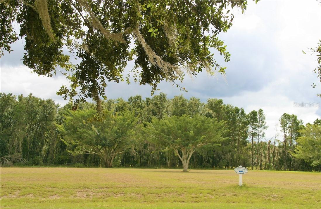 5020 Lakeshore Ranch Rd., Groveland, FL 34736