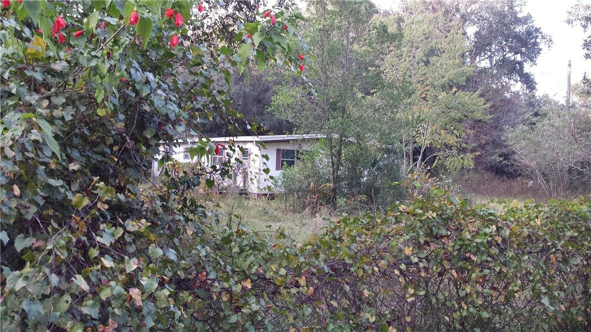 4334 County Road 507, Wildwood, FL 34785