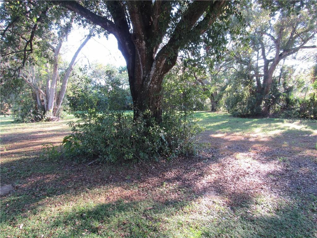 1324 Robie Ave., Mount Dora, FL 32757