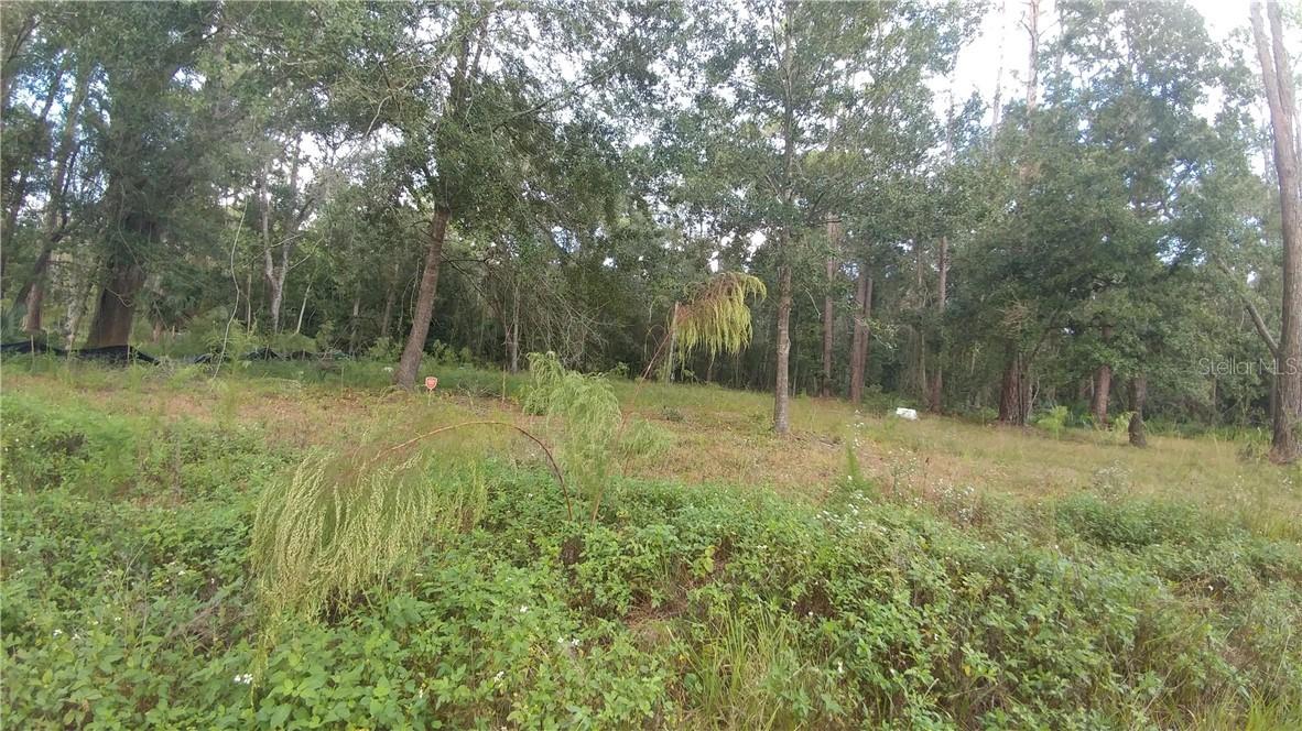 19301 Mattison Ln., Altoona, FL 32702