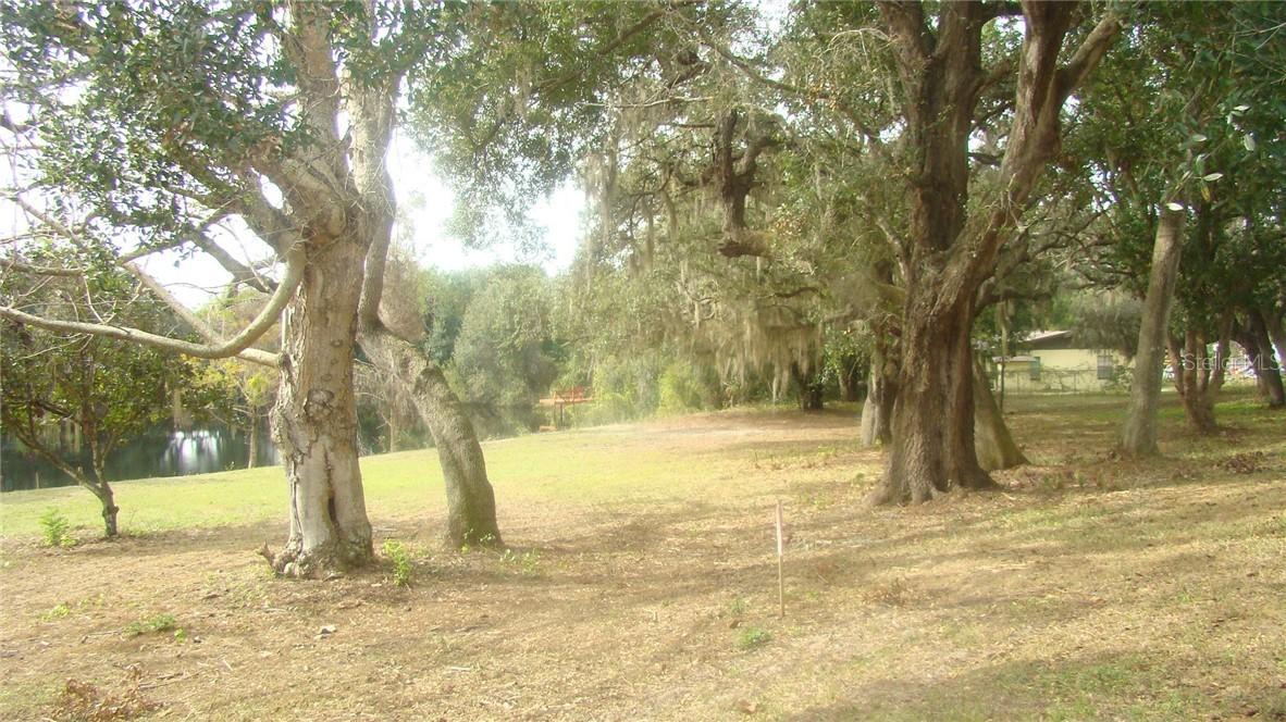 Basin St., Clermont, FL 34715