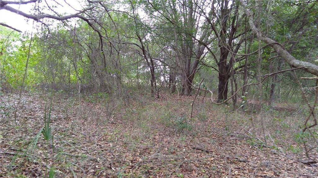 Sugarwood Ln., Clermont, FL 34711