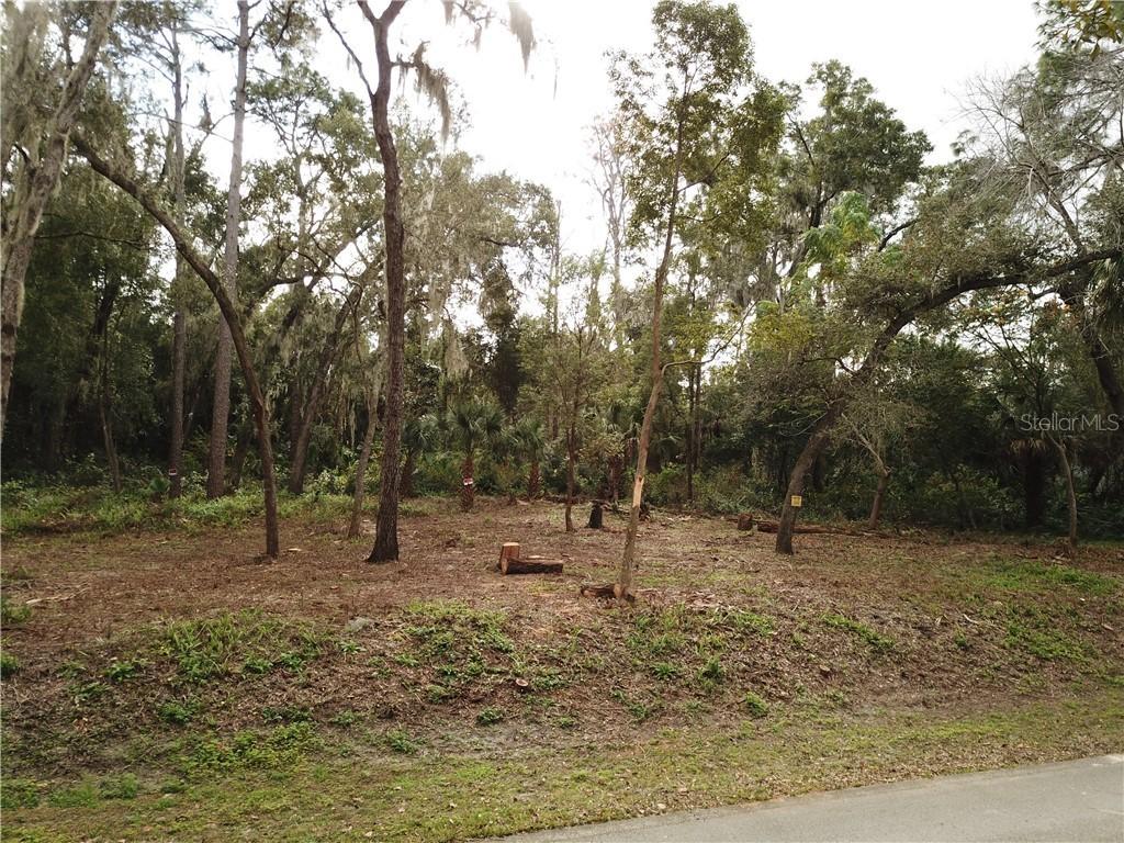 1028 Elysium Blvd., Mount Dora, FL 32757