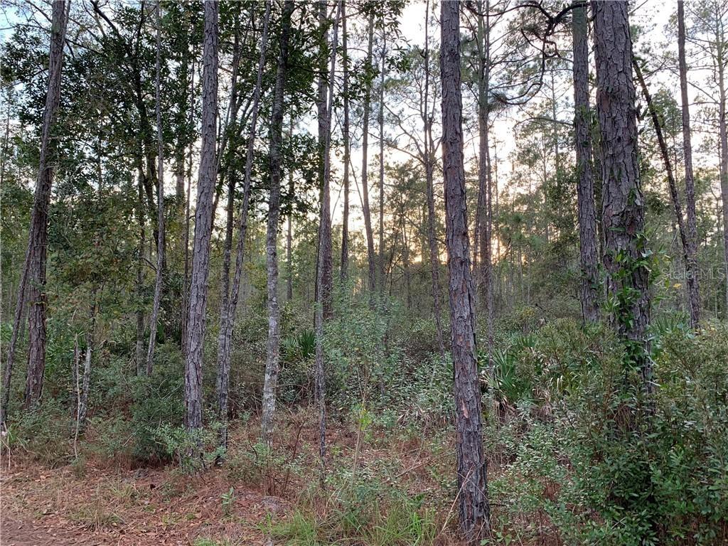 4530 Bondarenko Rd., Keystone Heights, FL 32656