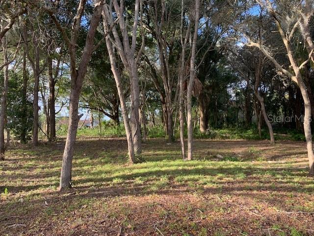 Desoto St., Clermont, FL 34711