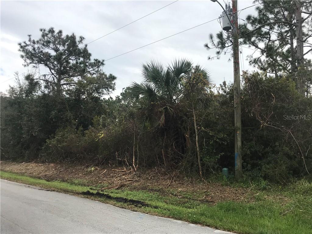 159 Persimmon Dr., Palm Coast, FL 32164